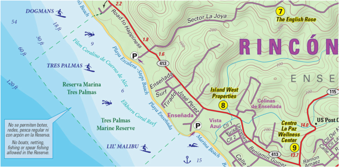 the rincon lizard map rincon puerto rico