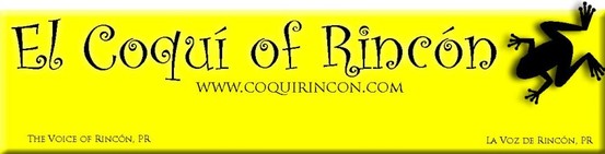 el coqui of rincon puerto rico